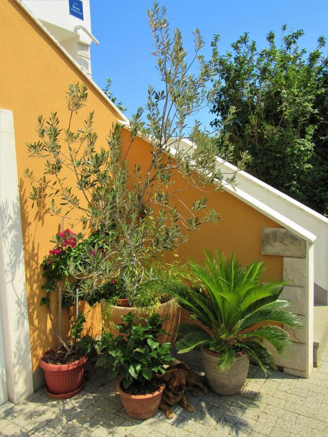 Apartment Andrea Orebić Esterno foto